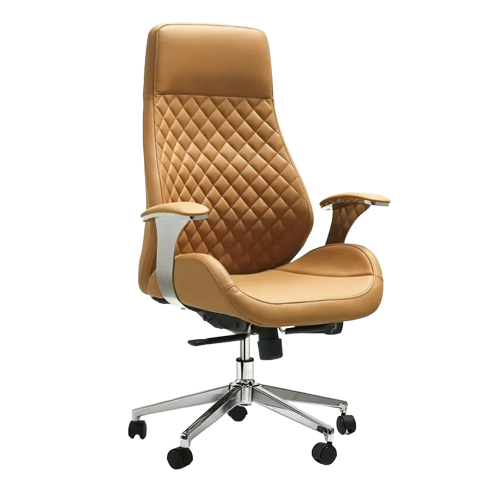 Director Chair